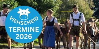 Viehscheid-Termine-2026