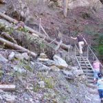 Wanderung zu den Buchenegger Wasserfällen von Steibis aus